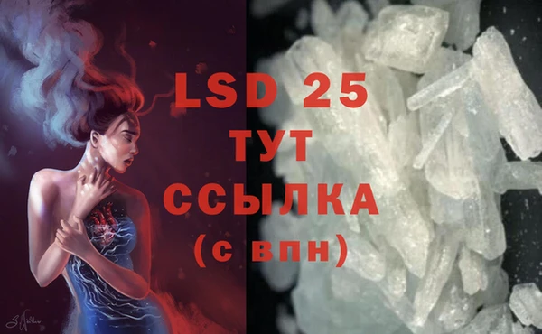 гидра Гусев
