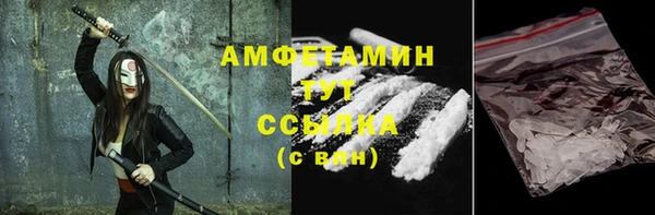 гидра Гусев