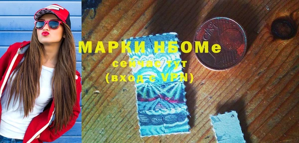 гидра Гусев
