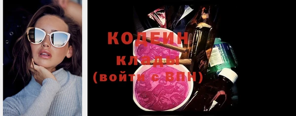 гидра Гусев