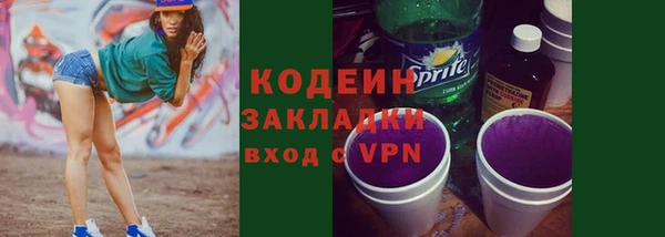 гидра Гусев