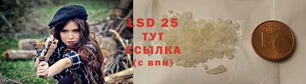 гидра Гусев