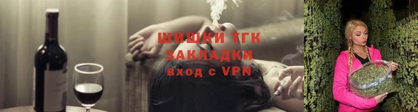 гидра Гусев