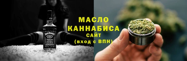гидра Гусев