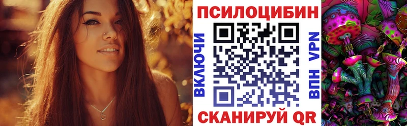 где можно купить   Пикалёво  Галлюциногенные грибы ЛСД 