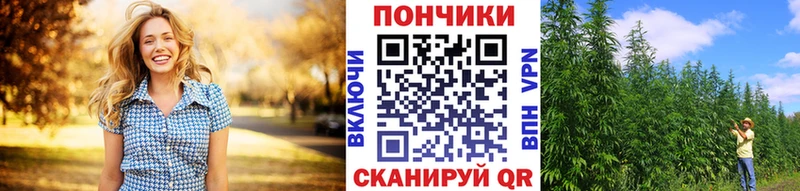 хочу   Пикалёво  Канабис гибрид 