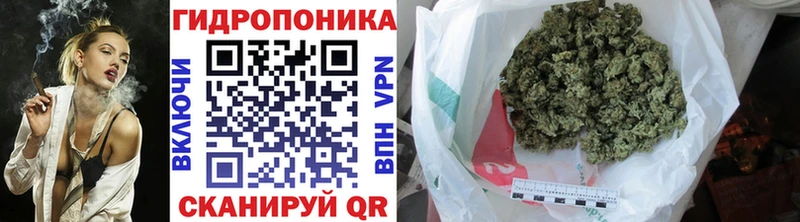 Бошки Шишки Amnesia Пикалёво